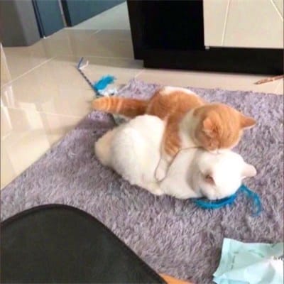 สุริยะ จึงรุ่งเรืองกิจ avatar